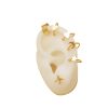 Earrings CCED-9110011
