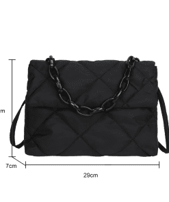 2  color handbag
