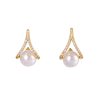 Earrings PPED-9110001