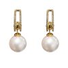 Earrings GCED-9110014
