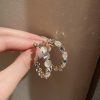 Earrings VVED-9110087