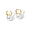 Earrings DDED-9110089