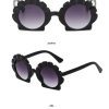 5 Colours Fashion SunGlasses 23014 TYJ-915203